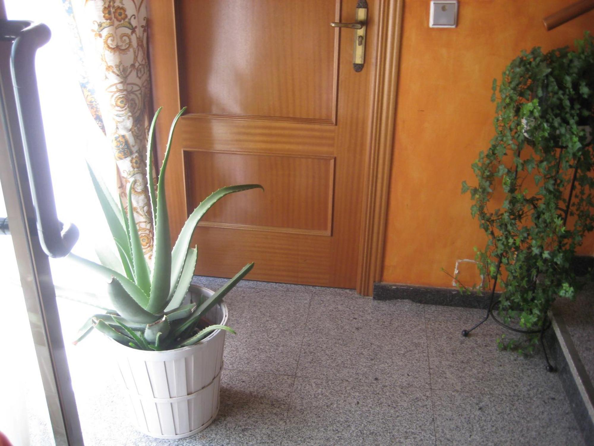 Hostal El Pinar Ávila Eksteriør bilde